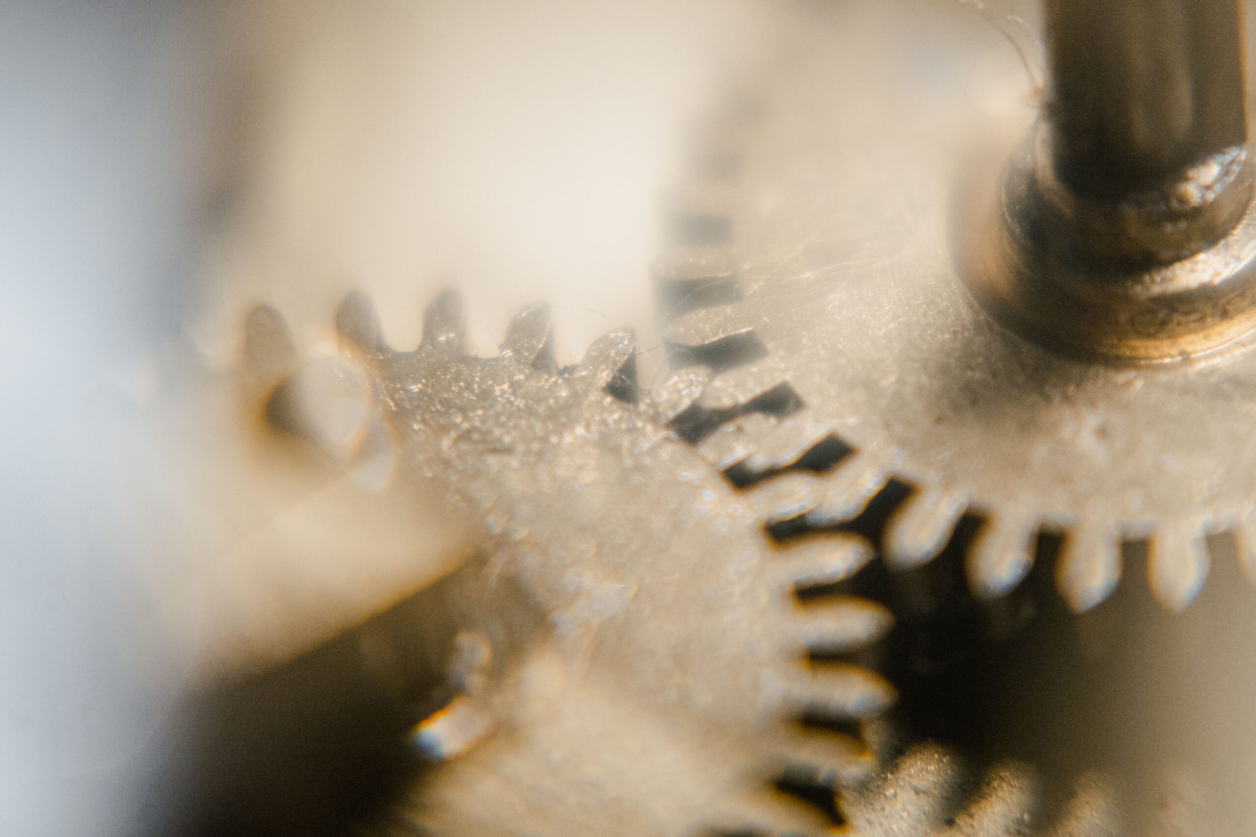 Nicsa | Connecting the Dots: Nicsa’s Content Steering Committee Advances Industry Collaboration
